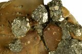 Golden Pyrite on Limonite Clay - Pakistan #337946-2